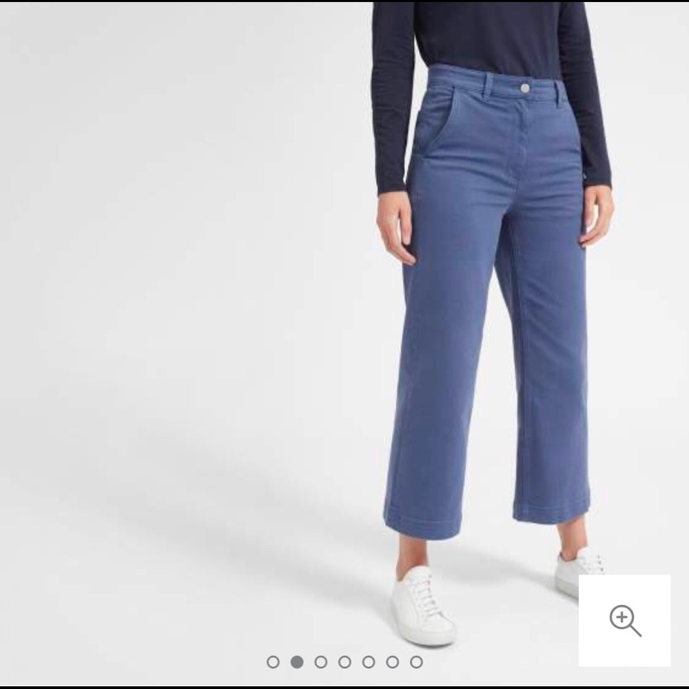 Everlane Wide Leg Crop Pant